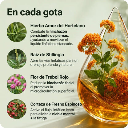 En cada gota: los cuatro extractos de plantas